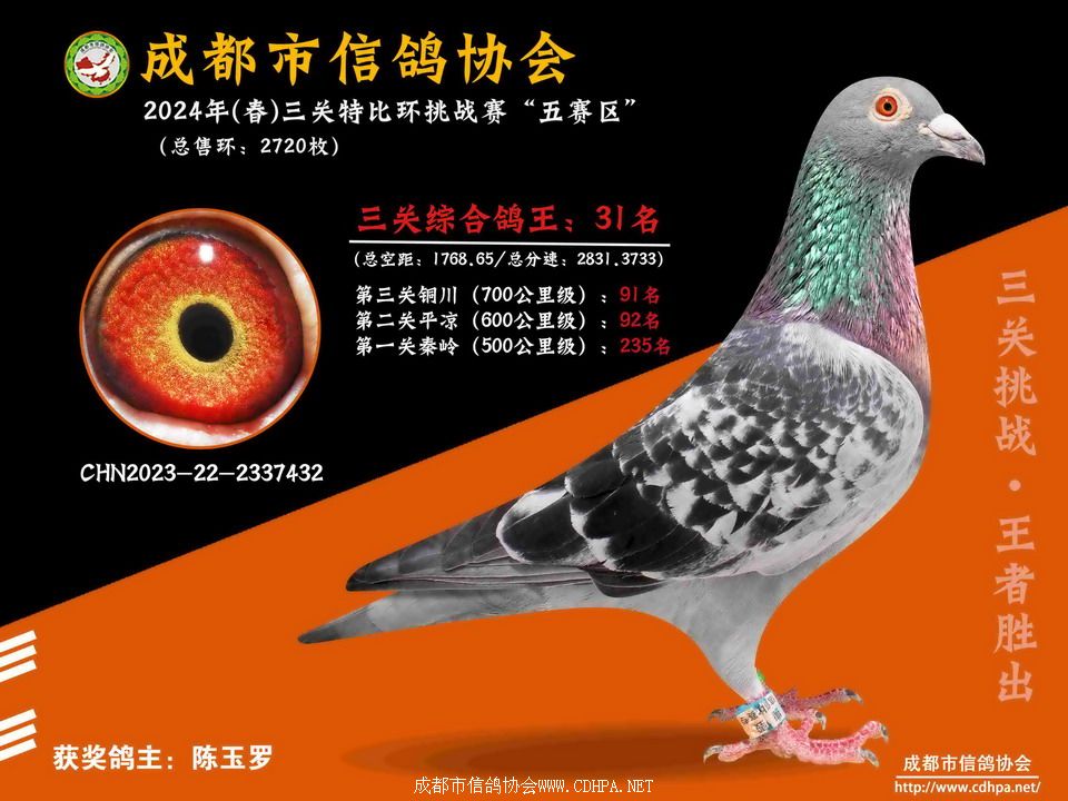 245ِ^(q)5-6-7ٹP(gun)رȭh(hun)21-50@(jing)Ƭ