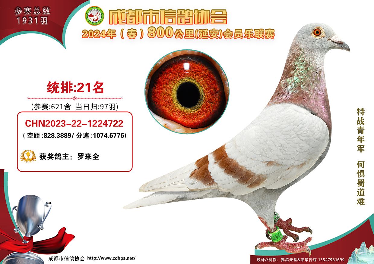 24ɶȫ800(lin)ِ(dng)՚w21-50@(jing)Ƭ
