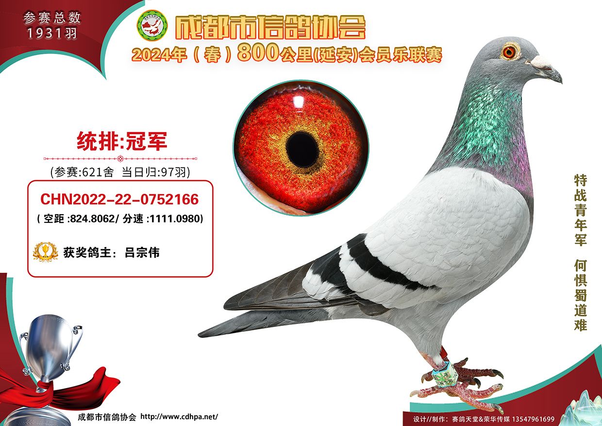24ɶȫ800(lin)ِ(dng)՚w܊-20@(jing)Ƭ