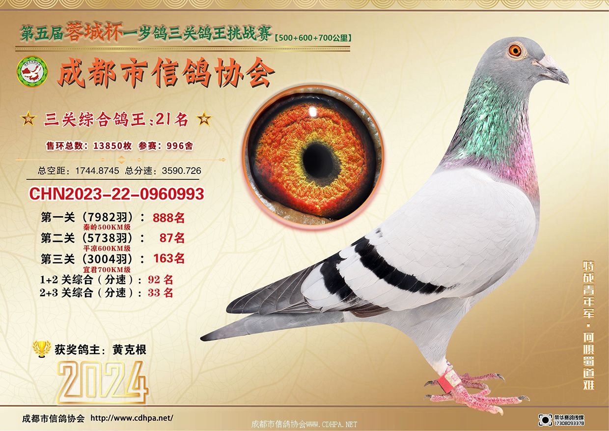 24سǱ567ٹP(gun)رȭh(hun)(zhn)ِ21-50@(jing)Ƭ